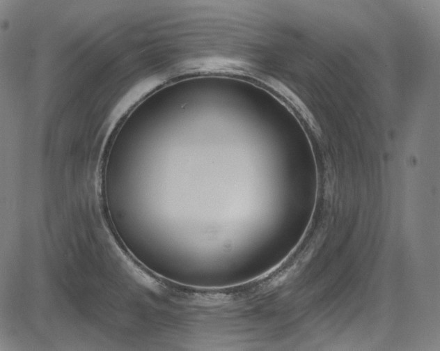 X0000085241285200703091207