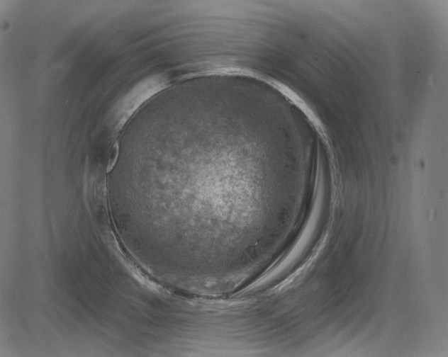 X0000085241289200703091207