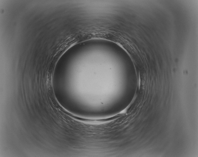 X0000085241298200703091206