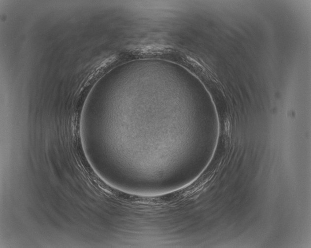 X0000085241300200703091206
