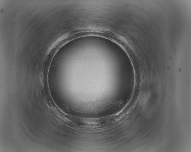 X0000085241307200703091206