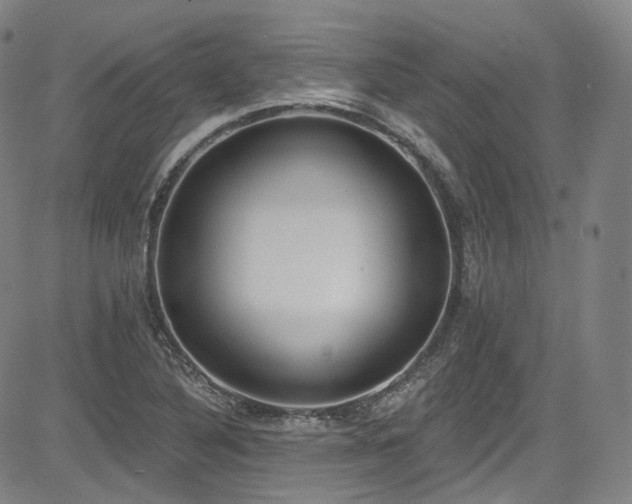X0000085241316200703091207