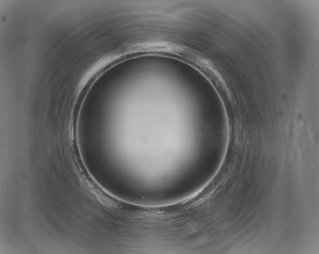 X0000085241328200703091207