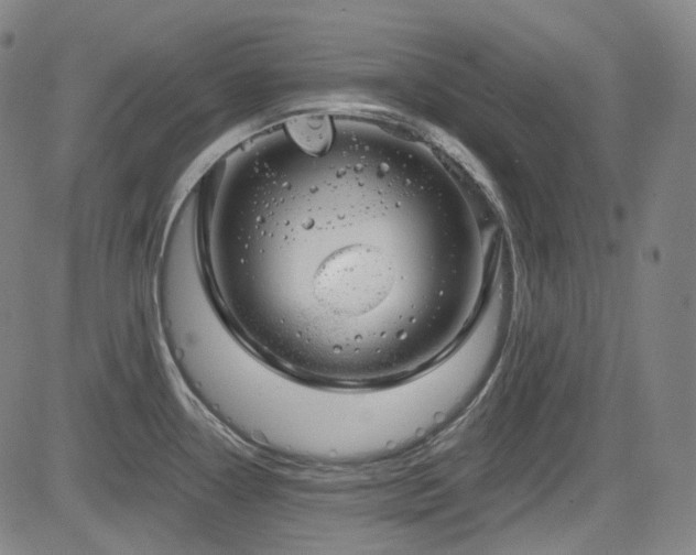 X0000085241338200703091207