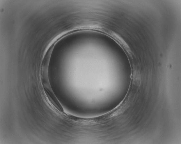 X0000085241340200703091207
