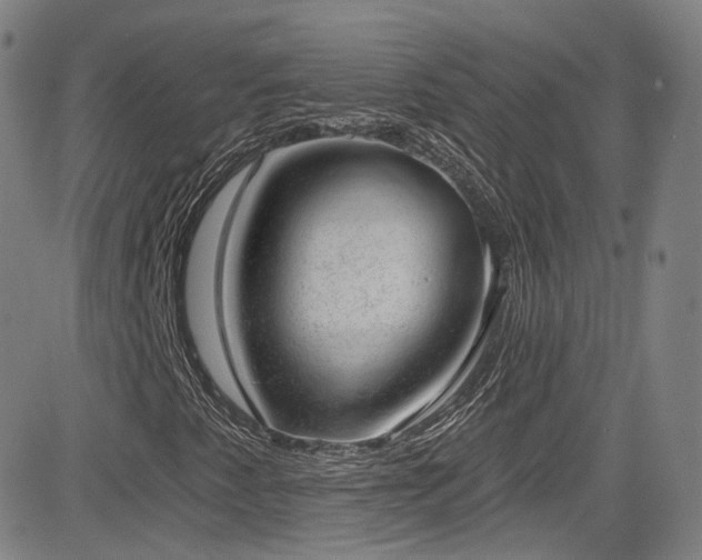 X0000085241345200703091206