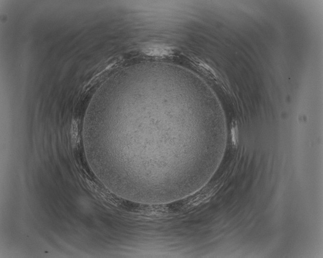 X0000085241347200703091206