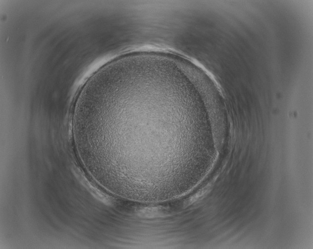 X0000085241367200703091206