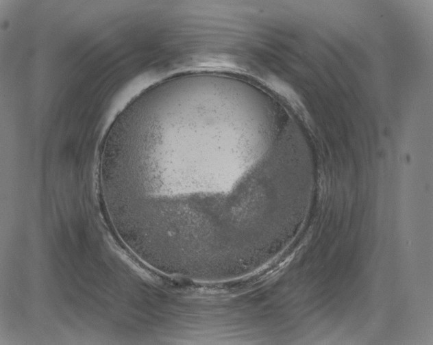 X0000085241374200703091206