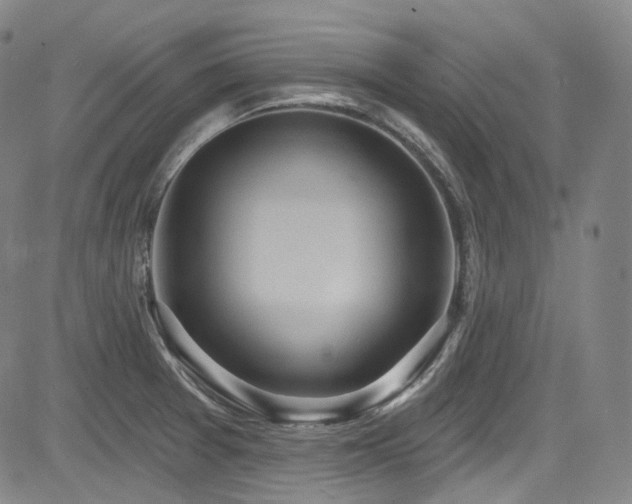 X0000085241377200703091206