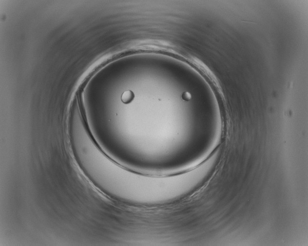 X0000085241384200703091206