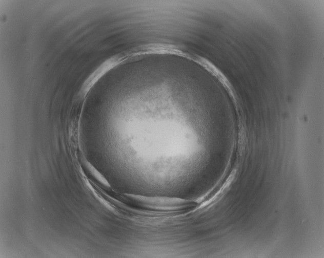 X0000085241385200703091206