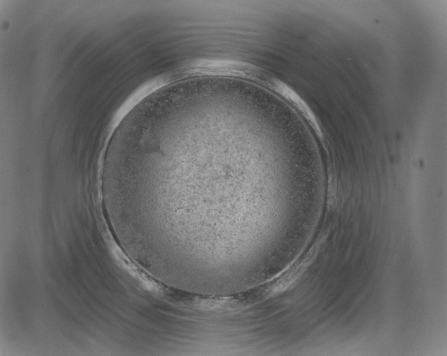 X0000085241386200703091206