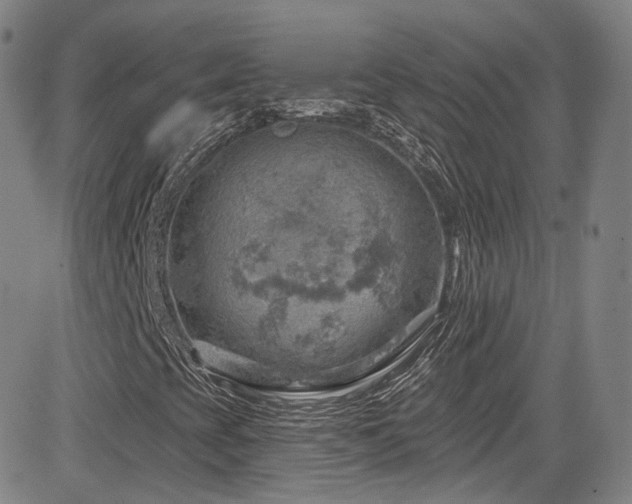 X0000085241393200703091205
