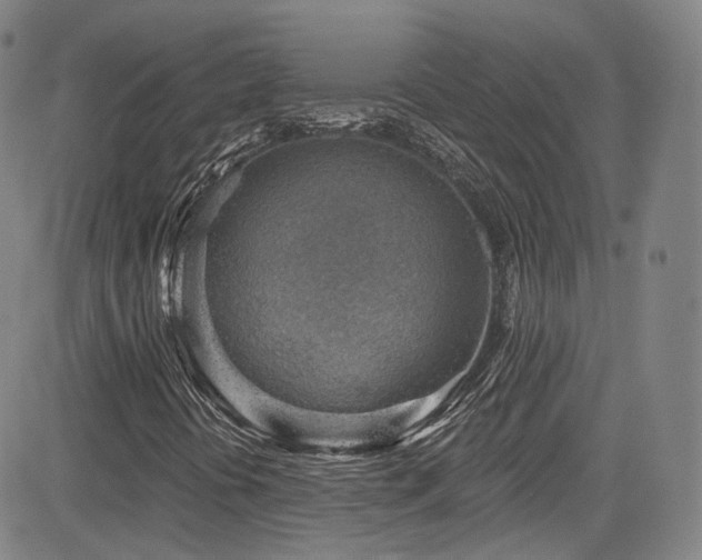 X0000085241394200703091205
