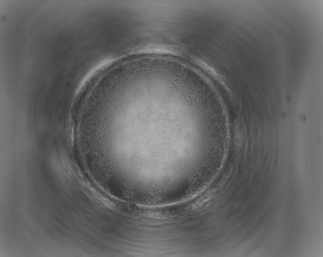 X0000085241408200703091205