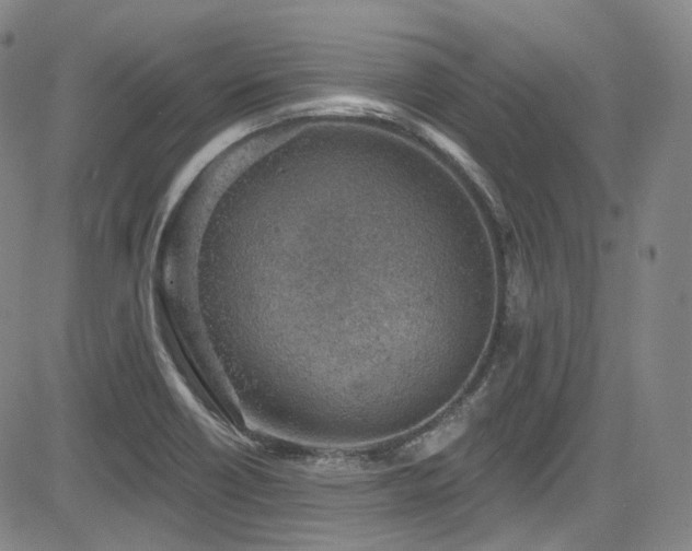 X0000085241418200703091205