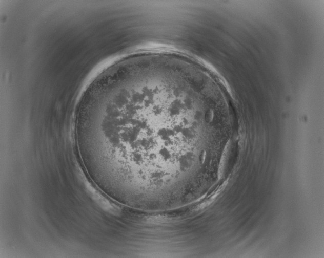 X0000085241421200703091205
