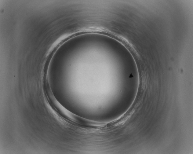 X0000085241422200703091205