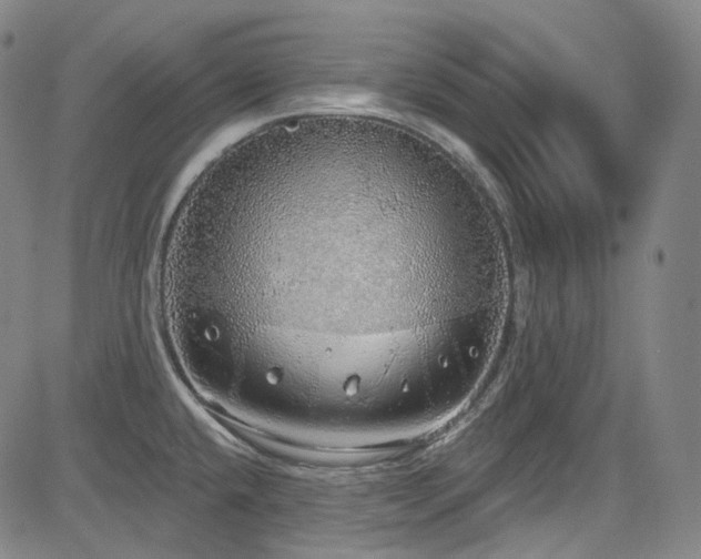 X0000085241432200703091205