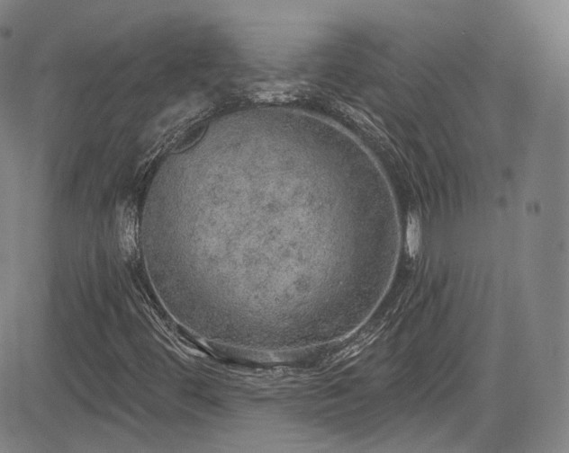 X0000085241444200703091205