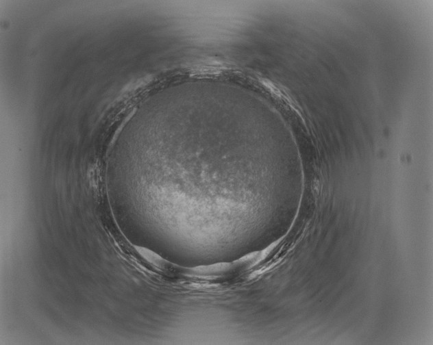 X0000085241445200703091205