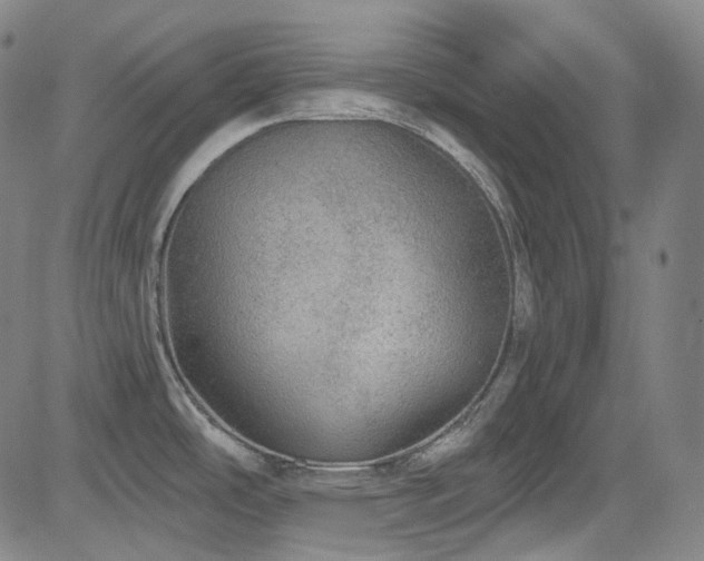 X0000085241486200703091204