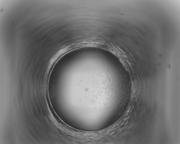 X0000085240003200703161348