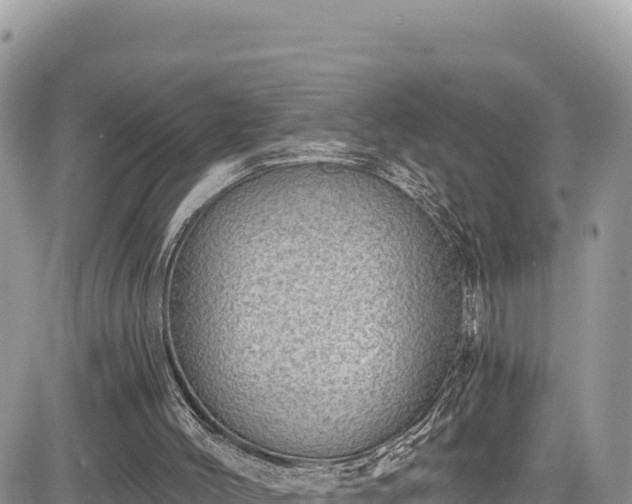 X0000085240004200703161348