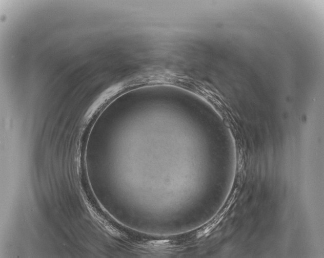 X0000085240054200703161347