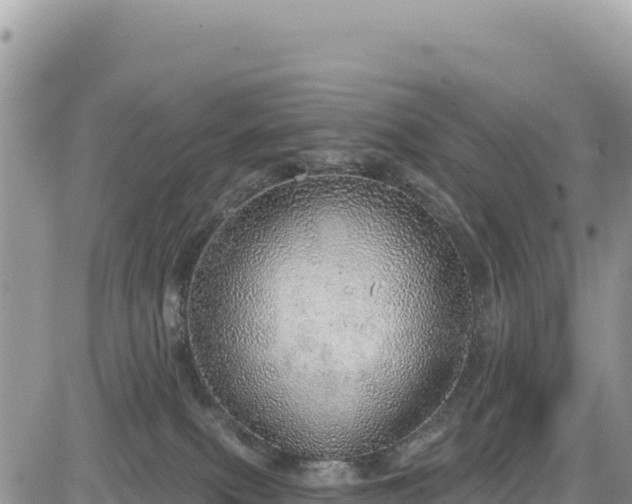 X0000085240087200703161347