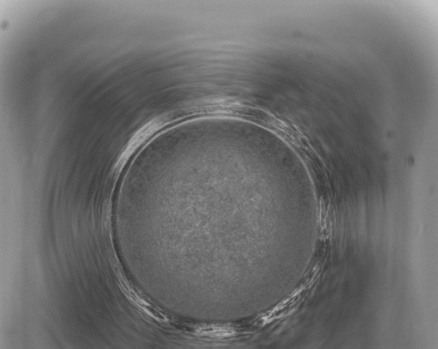 X0000085240099200703161347