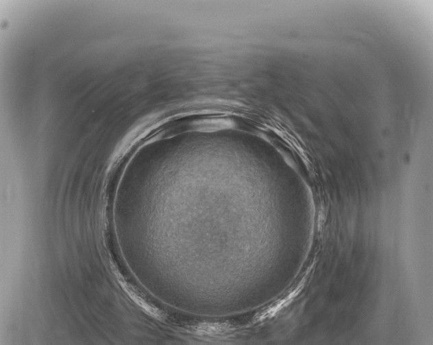 X0000085240101200703161347