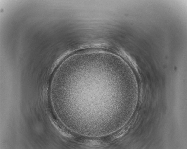 X0000085240107200703161346