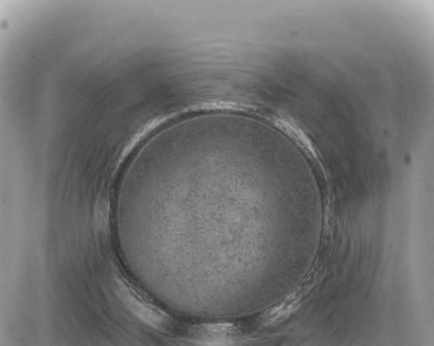 X0000085240108200703161346