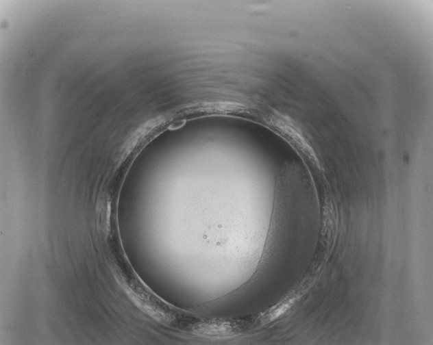 X0000085240110200703161346