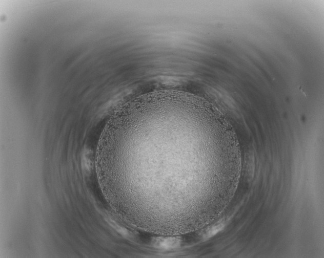 X0000085240135200703161346