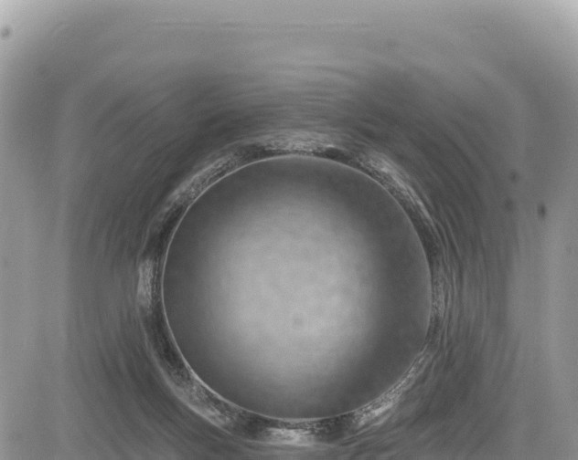 X0000085240167200703161345