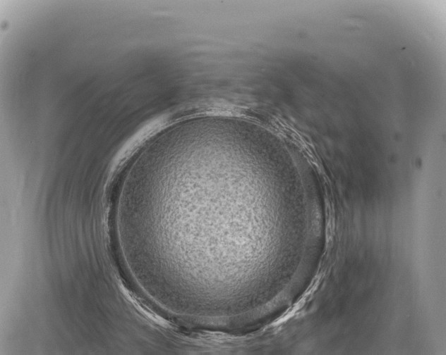 X0000085240197200703161345