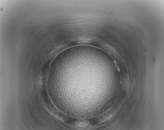 X0000085240215200703161345