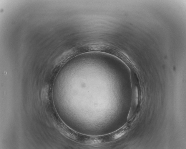 X0000085240217200703161345