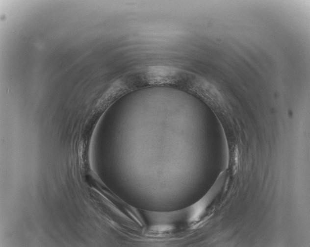 X0000085240219200703161345