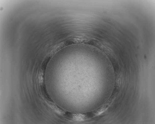 X0000085240226200703161344