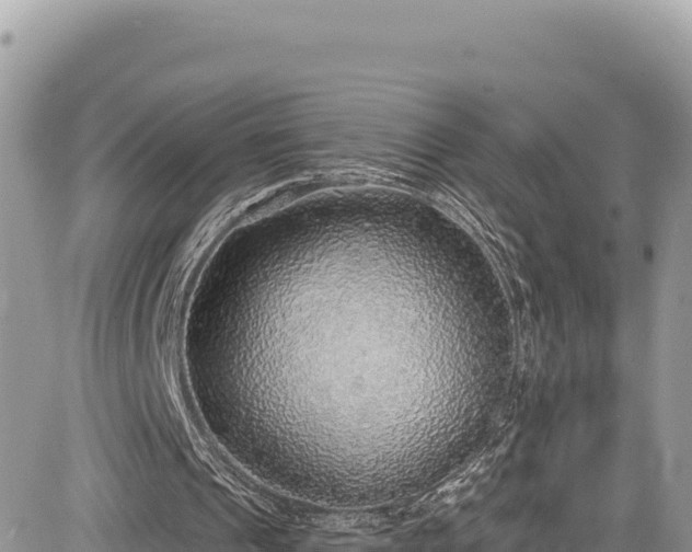 X0000085240241200703161343