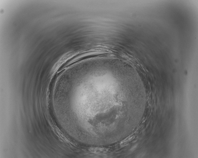 X0000085240242200703161343