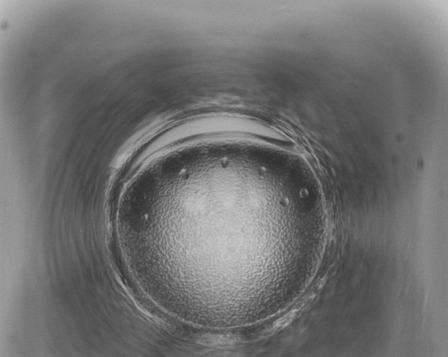 X0000085240245200703161343