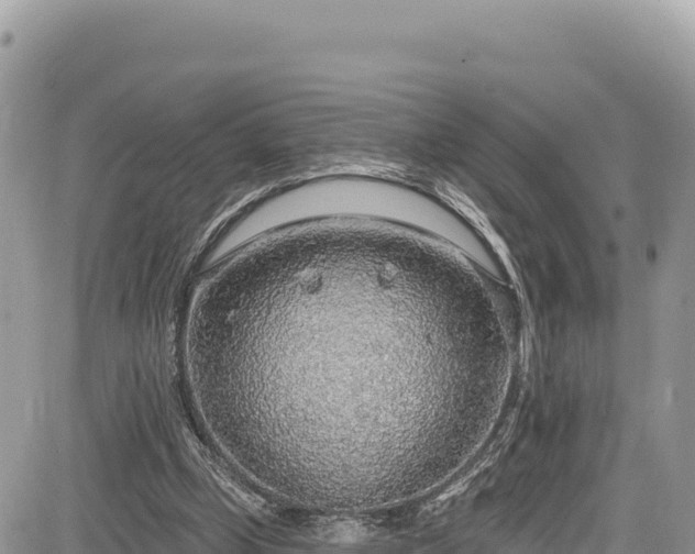 X0000085240249200703161344
