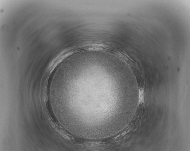 X0000085240291200703161343