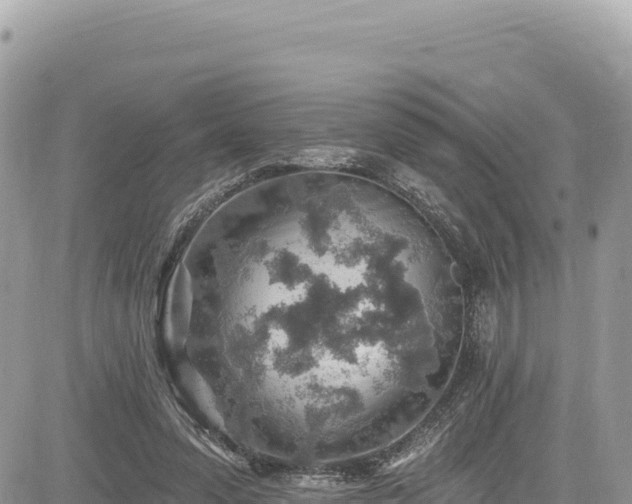 X0000085240303200703161343