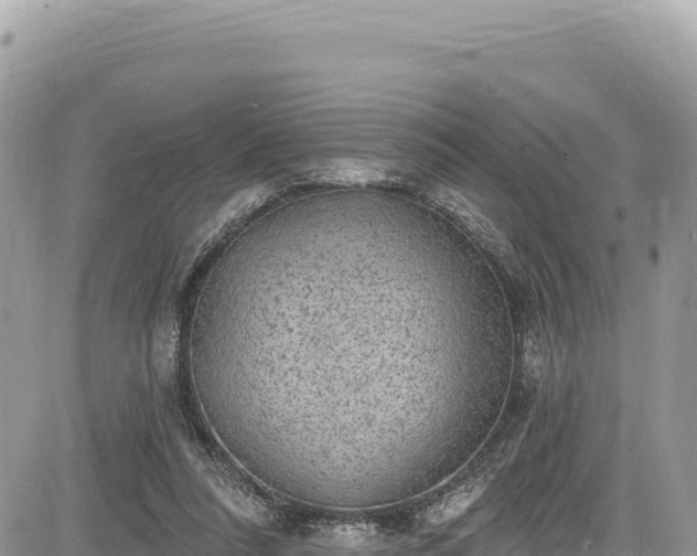 X0000085240304200703161343